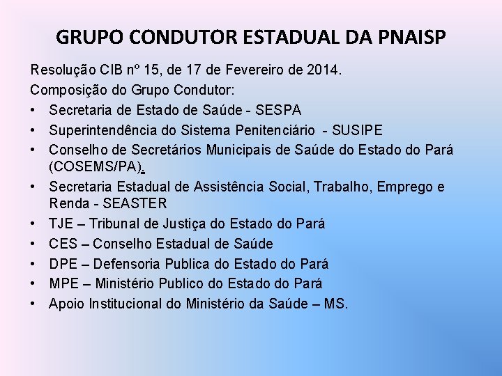 GRUPO CONDUTOR ESTADUAL DA PNAISP Resolução CIB nº 15, de 17 de Fevereiro de