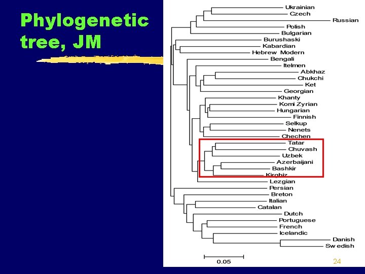 Phylogenetic tree, JM 24 
