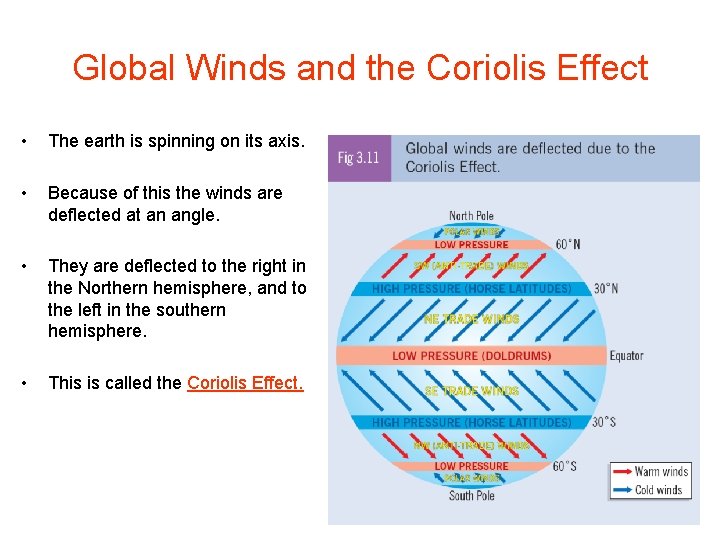 Global Winds and the Coriolis Effect • The earth is spinning on its axis.