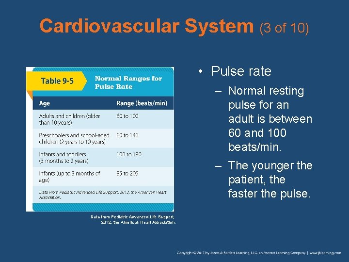 Cardiovascular System (3 of 10) • Pulse rate – Normal resting pulse for an