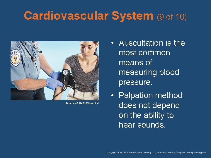 Cardiovascular System (9 of 10) • Auscultation is the most common means of measuring