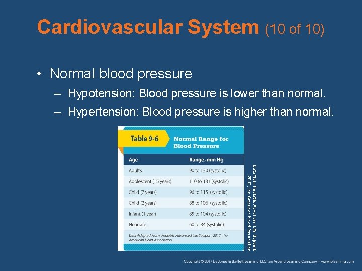 Cardiovascular System (10 of 10) • Normal blood pressure – Hypotension: Blood pressure is