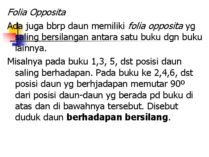 Folia Opposita Ada juga bbrp daun memiliki folia opposita yg saling bersilangan antara satu