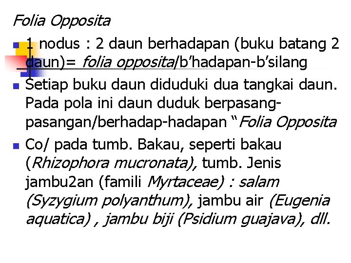 Folia Opposita n n n 1 nodus : 2 daun berhadapan (buku batang 2