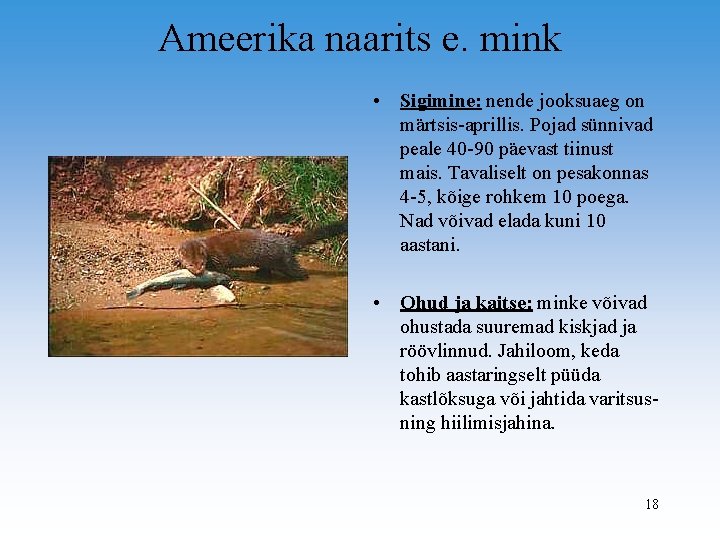 Ameerika naarits e. mink • Sigimine: nende jooksuaeg on märtsis-aprillis. Pojad sünnivad peale 40