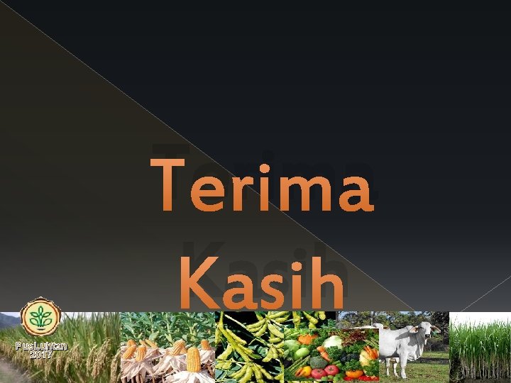 Terima Kasih Pus. Luhtan 2017 