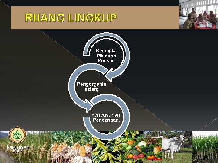 RUANG LINGKUP Kerangka Pikir dan Prinsip; Pengorganis asian; Penyusunan, Pendanaan. Pus. Luhtan 2017 