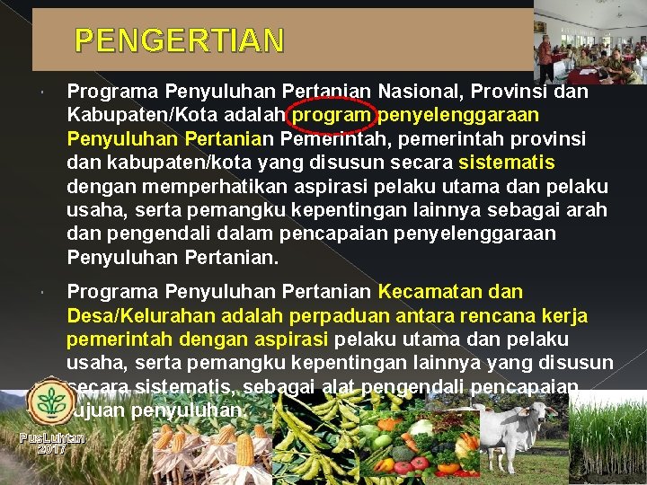PENGERTIAN Programa Penyuluhan Pertanian Nasional, Provinsi dan Kabupaten/Kota adalah program penyelenggaraan Penyuluhan Pertanian Pemerintah,