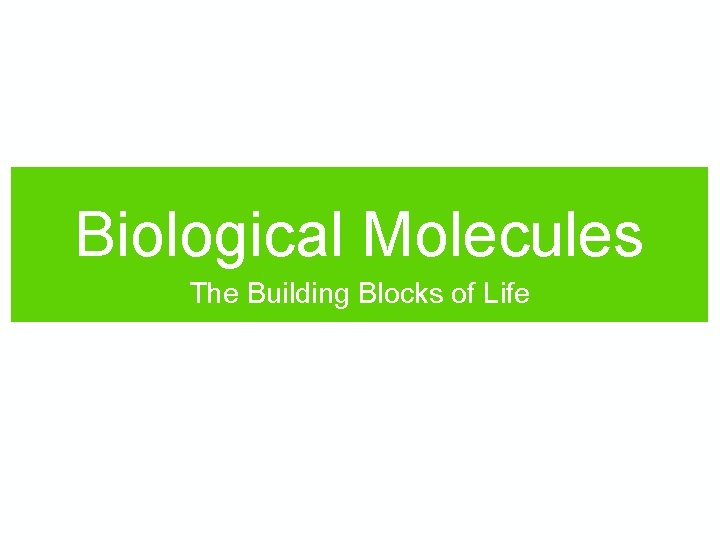 Biological Molecules The Building Blocks of Life 