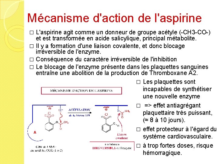 Mécanisme d'action de l'aspirine L'aspirine agit comme un donneur de groupe acétyle (-CH 3