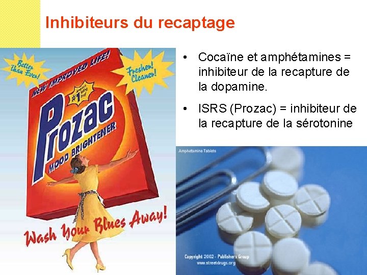 Inhibiteurs du recaptage • Cocaïne et amphétamines = inhibiteur de la recapture de la