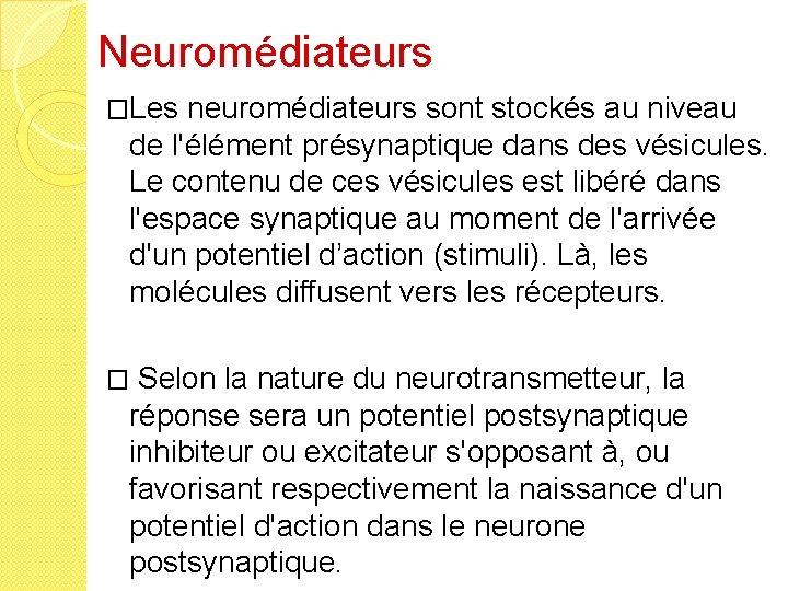 Neuromédiateurs �Les neuromédiateurs sont stockés au niveau de l'élément présynaptique dans des vésicules. Le