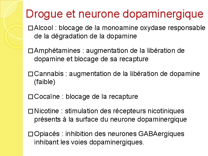 Drogue et neurone dopaminergique � Alcool : blocage de la monoamine oxydase responsable de