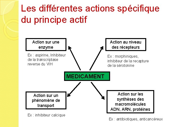 Les différentes actions spécifique du principe actif Action sur une enzyme Action au niveau