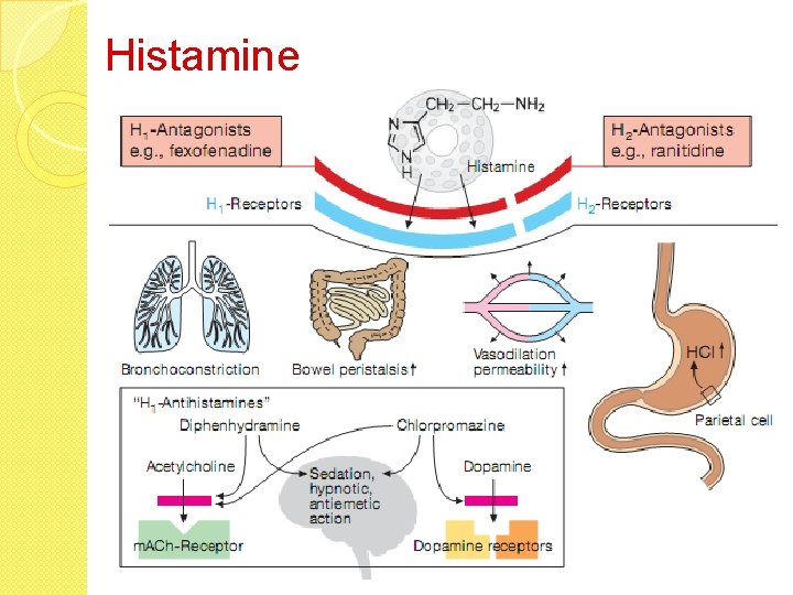 Histamine 