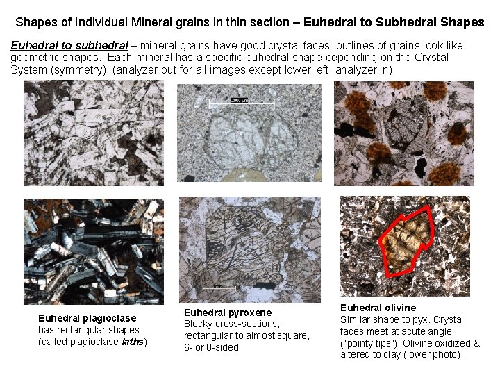 Shapes of Individual Mineral grains in thin section – Euhedral to Subhedral Shapes Euhedral