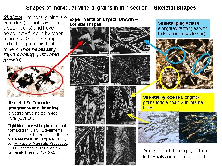 Shapes of Individual Mineral grains in thin section – Skeletal Shapes Skeletal – mineral