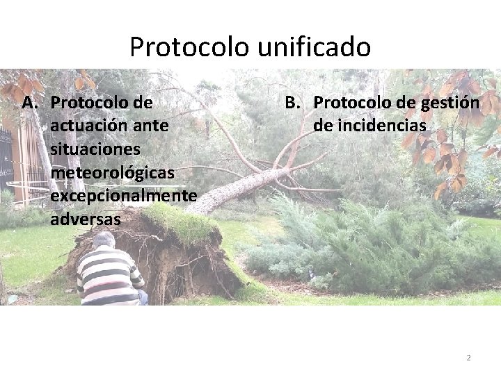 Protocolo unificado A. Protocolo de actuación ante situaciones meteorológicas excepcionalmente adversas B. Protocolo de