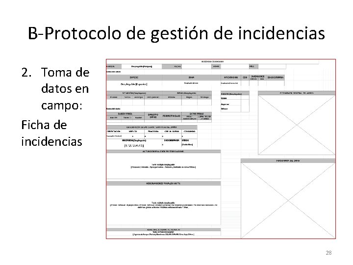 B-Protocolo de gestión de incidencias 2. Toma de datos en campo: Ficha de incidencias