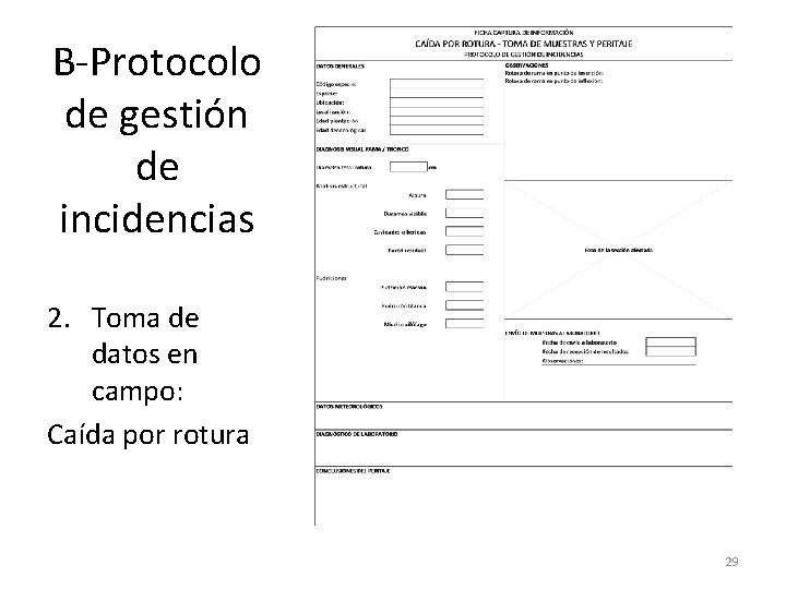 B-Protocolo de gestión de incidencias 2. Toma de datos en campo: Caída por rotura