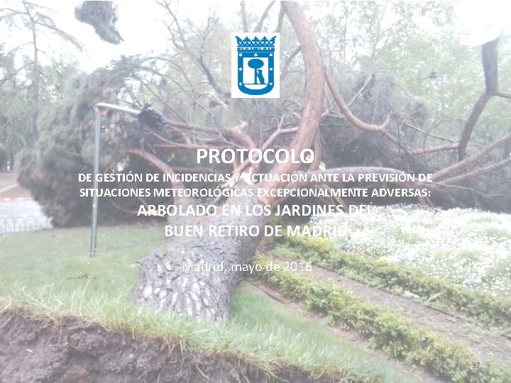 PROTOCOLO DE GESTIÓN DE INCIDENCIAS Y ACTUACIÓN ANTE LA PREVISIÓN DE SITUACIONES METEOROLÓGICAS EXCEPCIONALMENTE