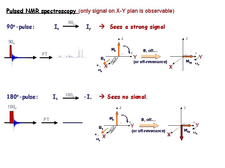 Pulsed NMR spectroscopy (only signal on X-Y plan is observable) 90 o-pulse: Iz 90