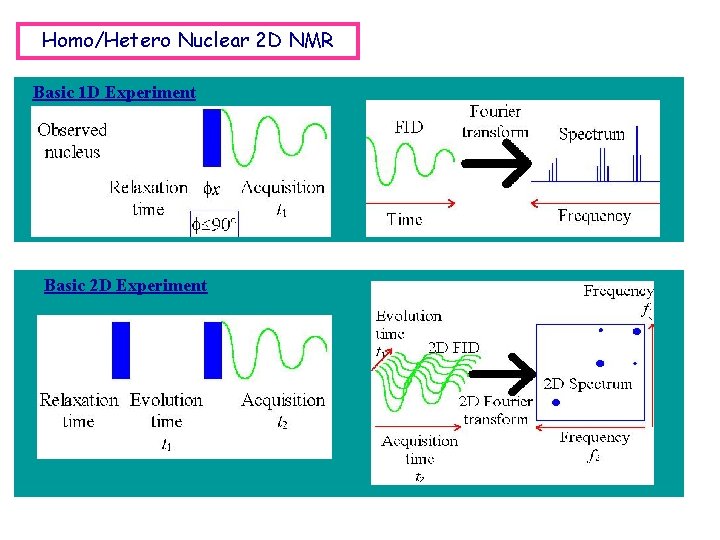 Homo/Hetero Nuclear 2 D NMR Basic 1 D Experiment Basic 2 D Experiment Homo/Hetero Nuclear 2 D NMR Basic 1 D Experiment Basic 2 D Experiment