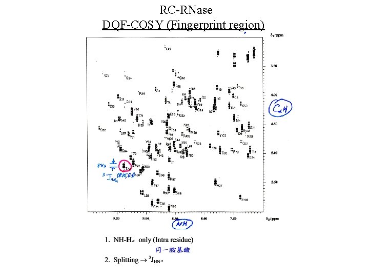 RC-RNase DQF-COSY (Fingerprint region) 