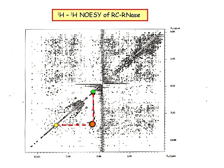 1 H – 1 H NOESY of RC-RNase 