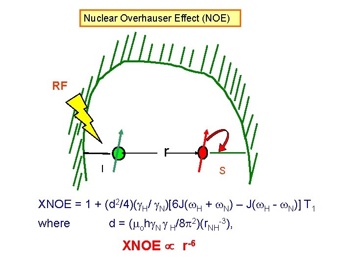 Nuclear Overhauser Effect (NOE) RF r I S XNOE = 1 + (d 2/4)(