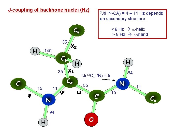 J-coupling of backbone nuclei (Hz) 3 J(HN-CA) = 4 – 11 Hz depends on