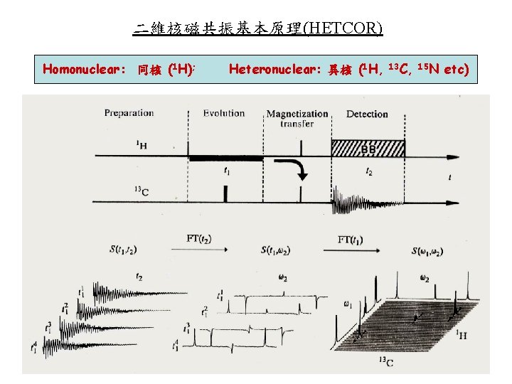 二維核磁共振基本原理(HETCOR) Homonuclear: 同核 (1 H); Heteronuclear: 異核 (1 H, 13 C, 15 N etc) 二維核磁共振基本原理(HETCOR) Homonuclear: 同核 (1 H); Heteronuclear: 異核 (1 H, 13 C, 15 N etc)