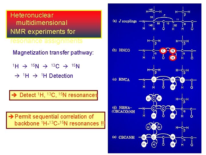 Heteronuclear multidimensional NMR experiments for resonance assignments Magnetization transfer pathway: 1 H 15 N