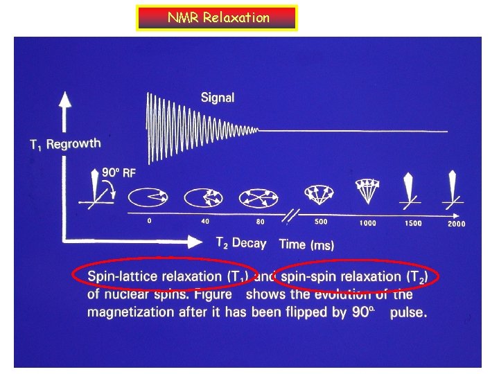 NMR Relaxation 