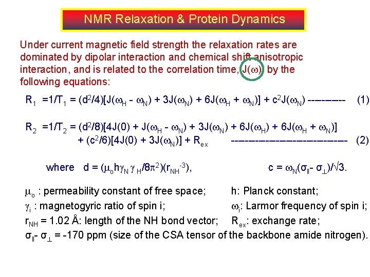 NMR Relaxation & Protein Dynamics Under current magnetic field strength the relaxation rates are NMR Relaxation & Protein Dynamics Under current magnetic field strength the relaxation rates are