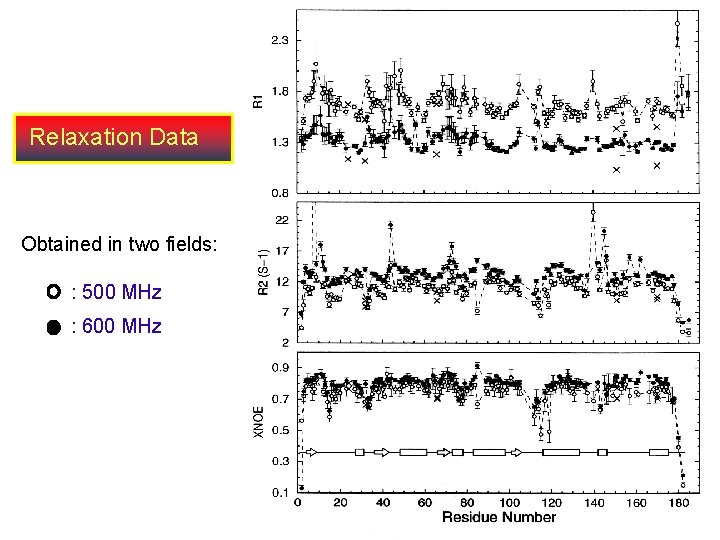 Relaxation Data Obtained in two fields: : 500 MHz : 600 MHz 