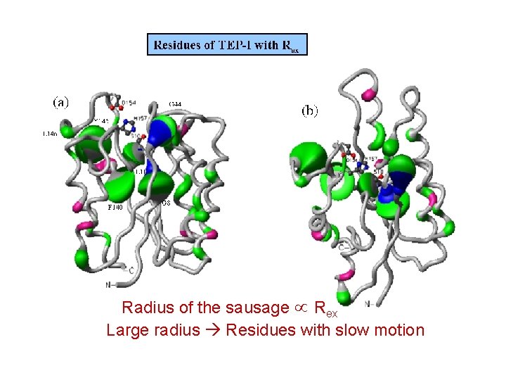 Radius of the sausage Rex Large radius Residues with slow motion 