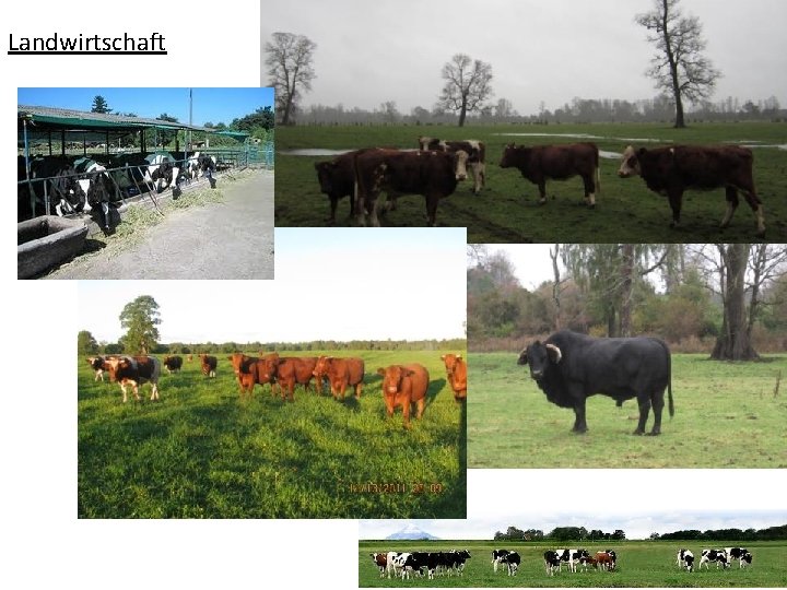 Landwirtschaft 