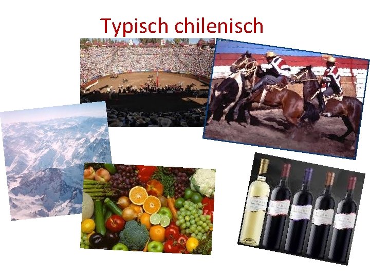 Typisch chilenisch 