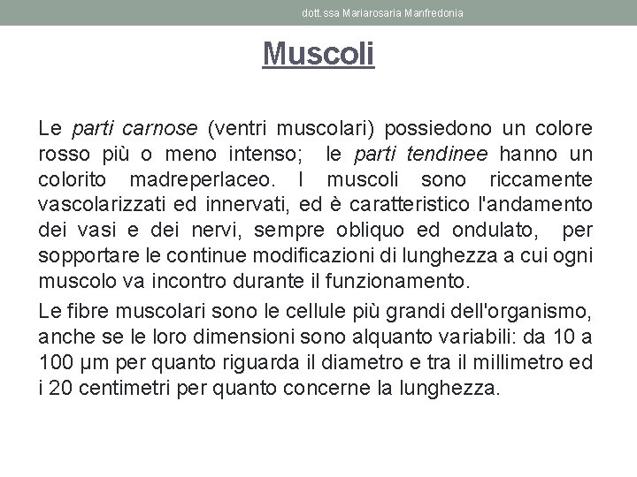 dott. ssa Mariarosaria Manfredonia Muscoli Le parti carnose (ventri muscolari) possiedono un colore rosso