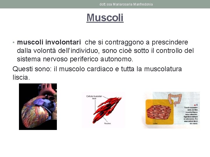 dott. ssa Mariarosaria Manfredonia Muscoli • muscoli involontari che si contraggono a prescindere dalla