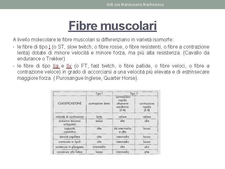 dott. ssa Mariarosaria Manfredonia Fibre muscolari A livello molecolare le fibre muscolari si differenziano