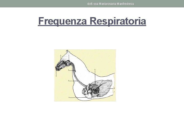 dott. ssa Mariarosaria Manfredonia Frequenza Respiratoria 