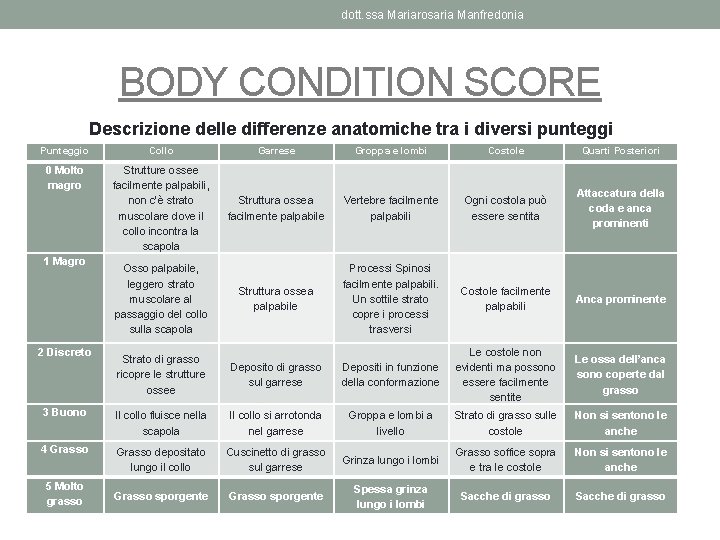 dott. ssa Mariarosaria Manfredonia BODY CONDITION SCORE Descrizione delle differenze anatomiche tra i diversi