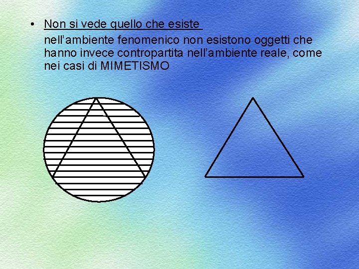  • Non si vede quello che esiste nell’ambiente fenomenico non esistono oggetti che