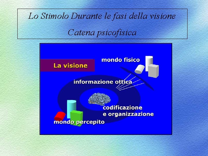 Lo Stimolo Durante le fasi della visione Catena psicofisica 