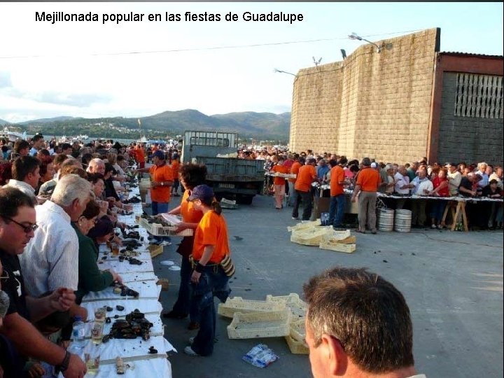 Mejillonada popular en las fiestas de Guadalupe Mejillonada popular en las fiestas de Guadalupe