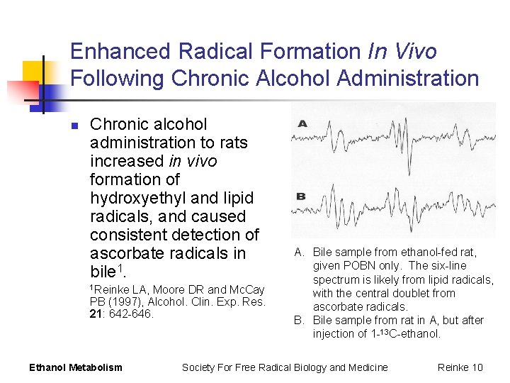 Enhanced Radical Formation In Vivo Following Chronic Alcohol Administration n Chronic alcohol administration to