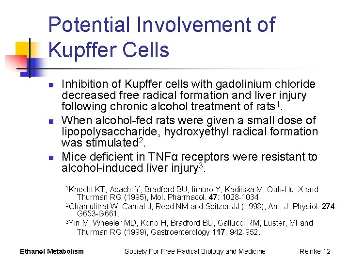 Potential Involvement of Kupffer Cells n n n Inhibition of Kupffer cells with gadolinium
