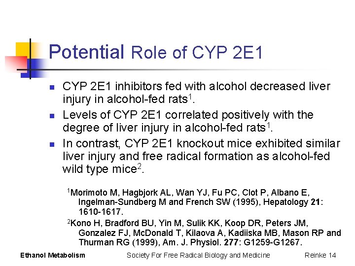 Potential Role of CYP 2 E 1 n n n CYP 2 E 1